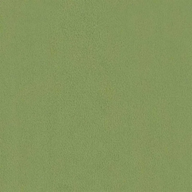 Poilsio kėdė, šviesiai žalios spalvos, aksomas