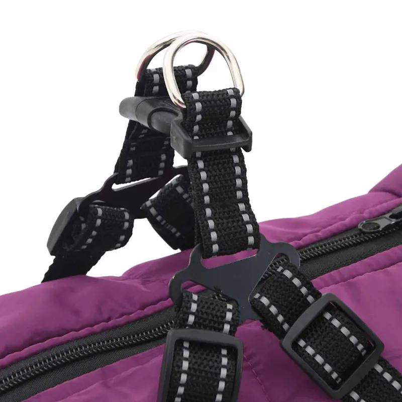Šunų kailis su diržais, atsparus vandeniui, violetinis, L68
