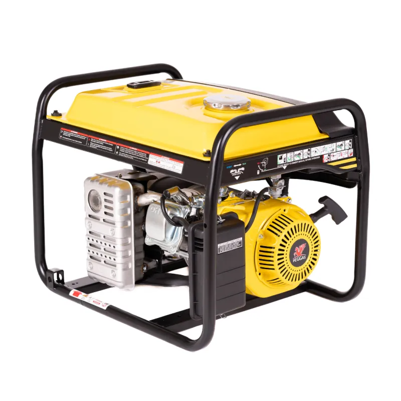 Gaasiga kaasaskantav generaator WSC3250, 2,5 kW