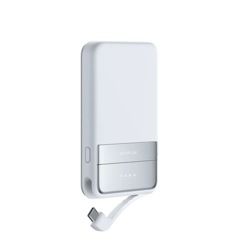 EcoFlow RAPID magnetiline akupank, 5000mAh, (sinine). universaalne
