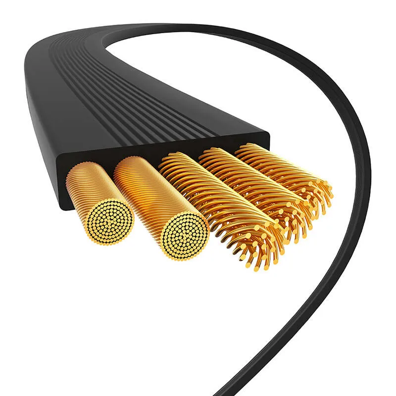 Baseus USB-C kuni USB-C 100W laadimiskabel (Must) Bayern Edition universaalne