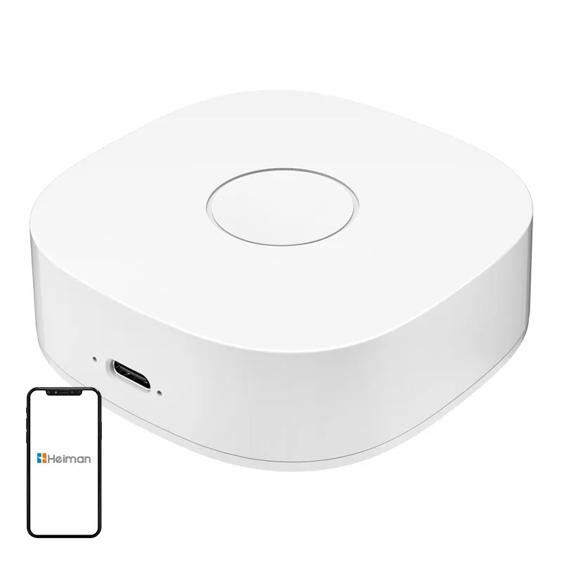 Smart Home WS2GW-R WiFi universaalne