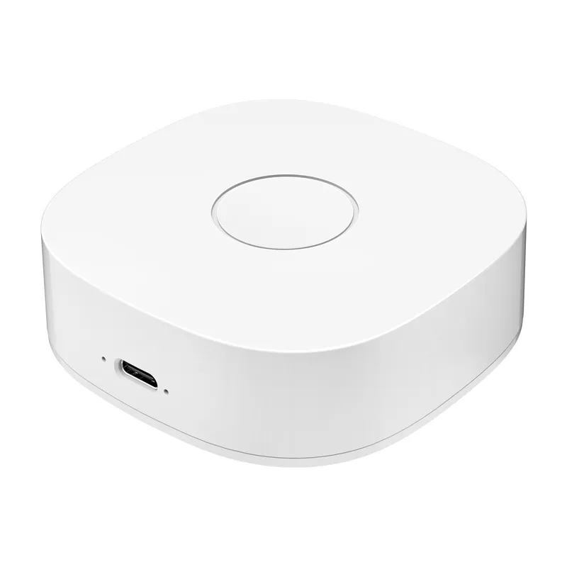 Smart Home WS2GW-R WiFi universaalne