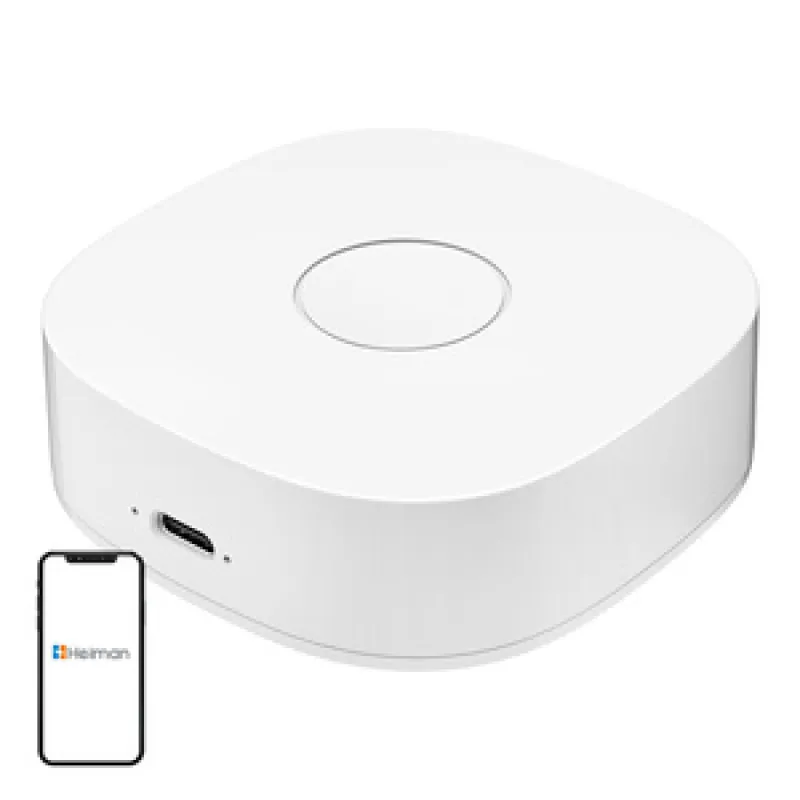 Smart Home WS2GW-R WiFi universaalne