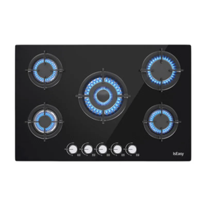 IsEasy MGBG-775 gaasipliit universaalne