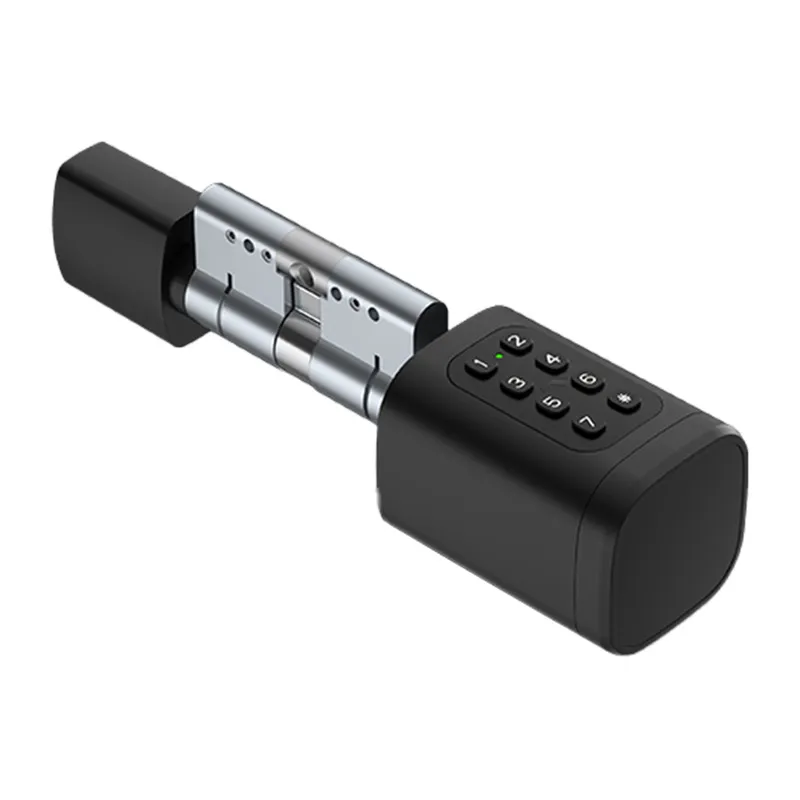 Avatto SDL-V1-B100 100mm digitaalne lukustuse silinder Must universaal