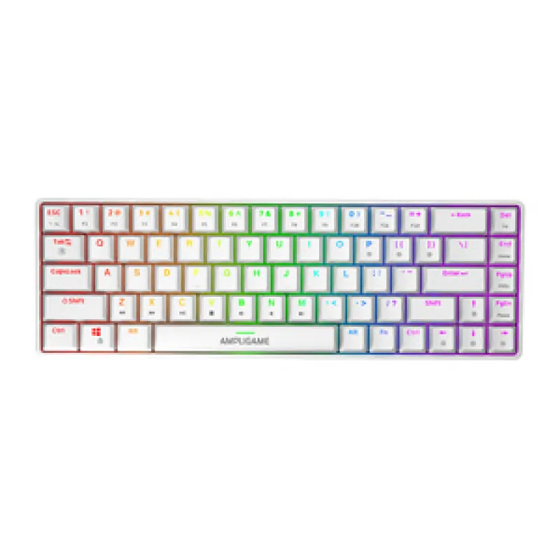 Fifine GK1W mehaaniline klaviatuur, 65% RGB (valge) universaal