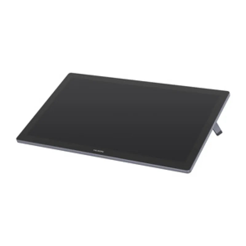Huion Kamvas Pro 19 GT1902 graafikatablett universaal