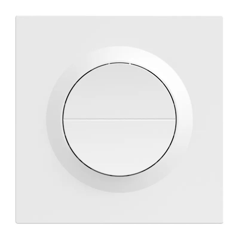 SONOFF MINI-2GS-E Matter Kaksikanaliline Seinälüliti. universaalne