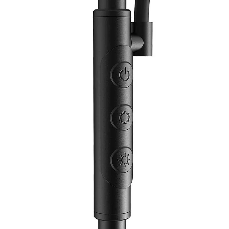 Topelt põrandalamp kaugjuhtimispuldiga BlitzWill BWL-FL-0001, 36W (must) universaalne