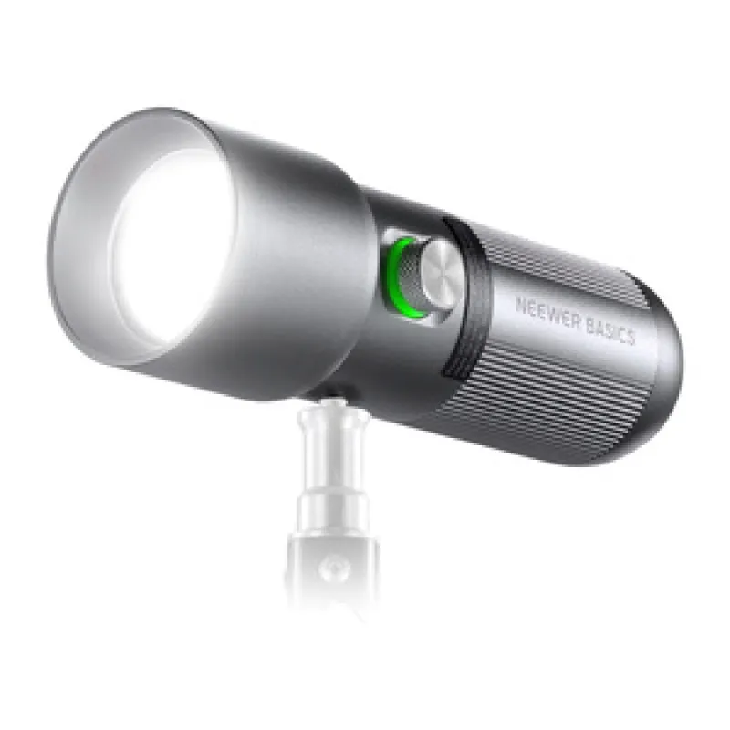 NEEWER BASICS FL10 Kergekaasaskantav LED-lamp universaalne