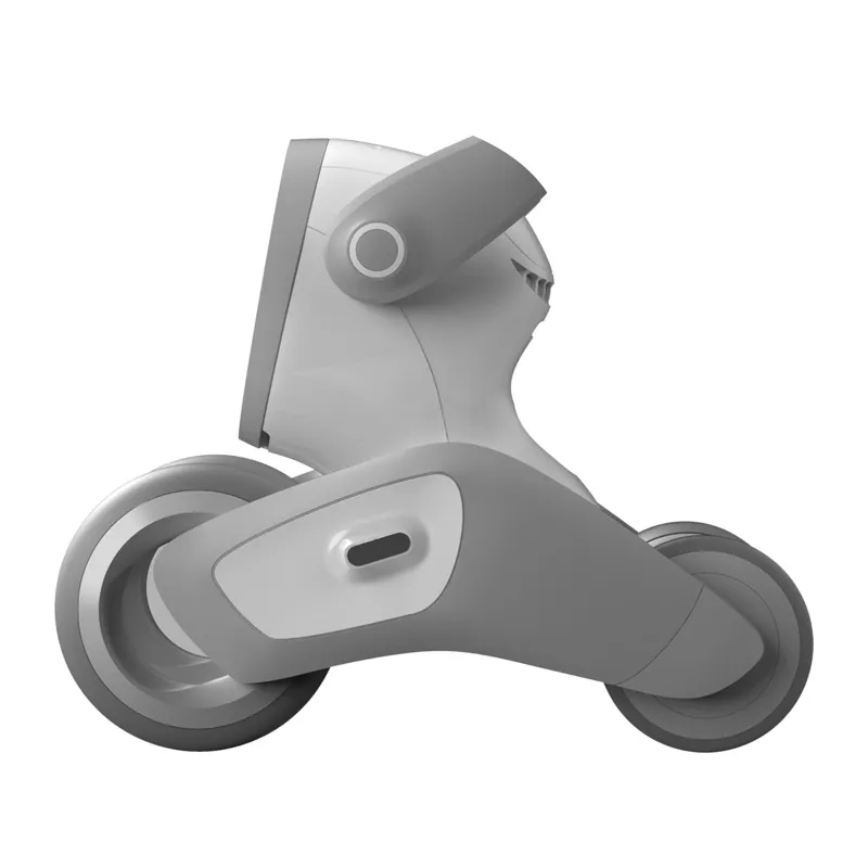 Loona Premium Interaktiivne Robot Universaal