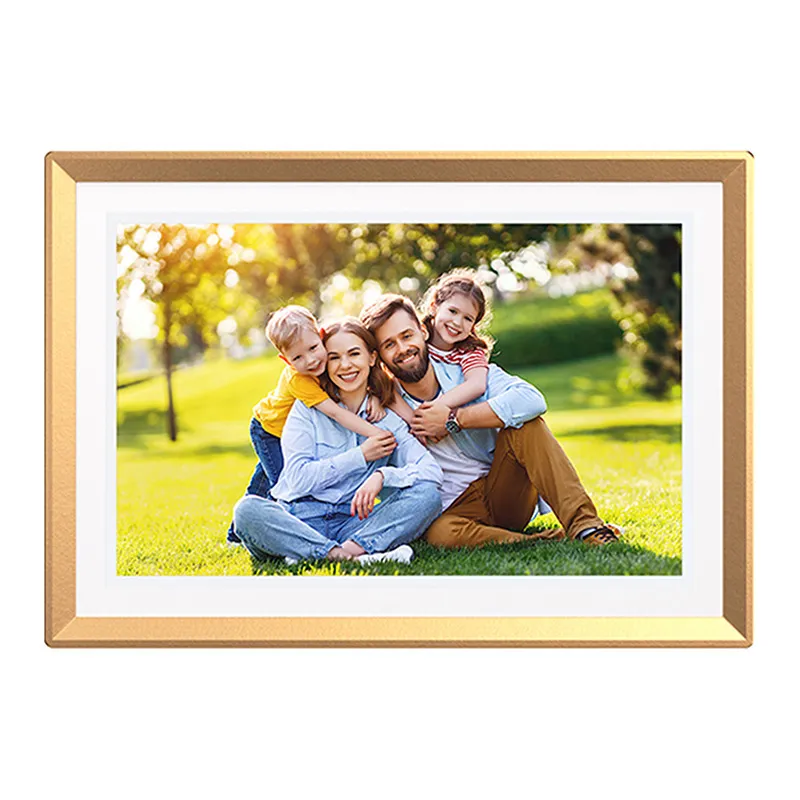 Arzopa D10 (kuld) 10,1" digitaalne fotolamp universaalne