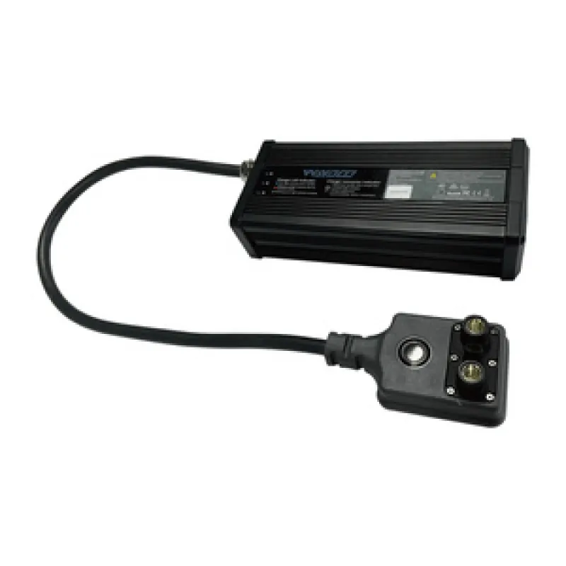 WAYDOO EVO Laadija Powerflight Akudele universaalne