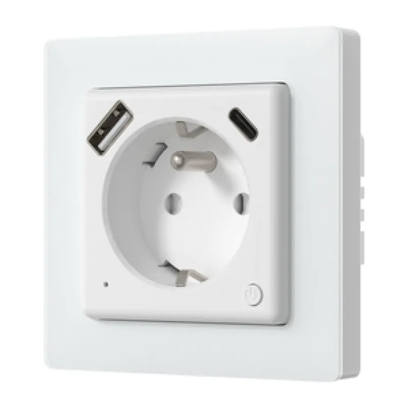 Smart pistik Avatto WOT20-FR universaal