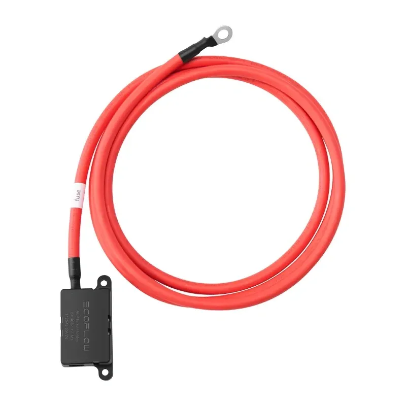 EcoFlow Alternatori Laadija Pikenduskaabel (2 m) universaalne