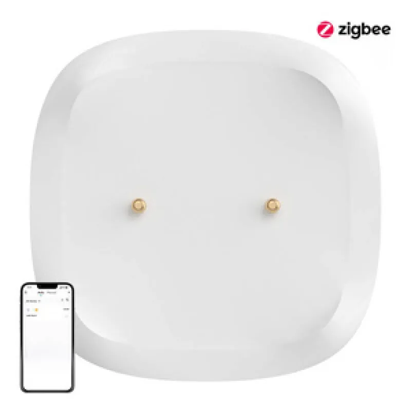 Smart veekindluse/üleujumise sensor ZigBee SONOFF SNZB-05P (+patarei) universaalne