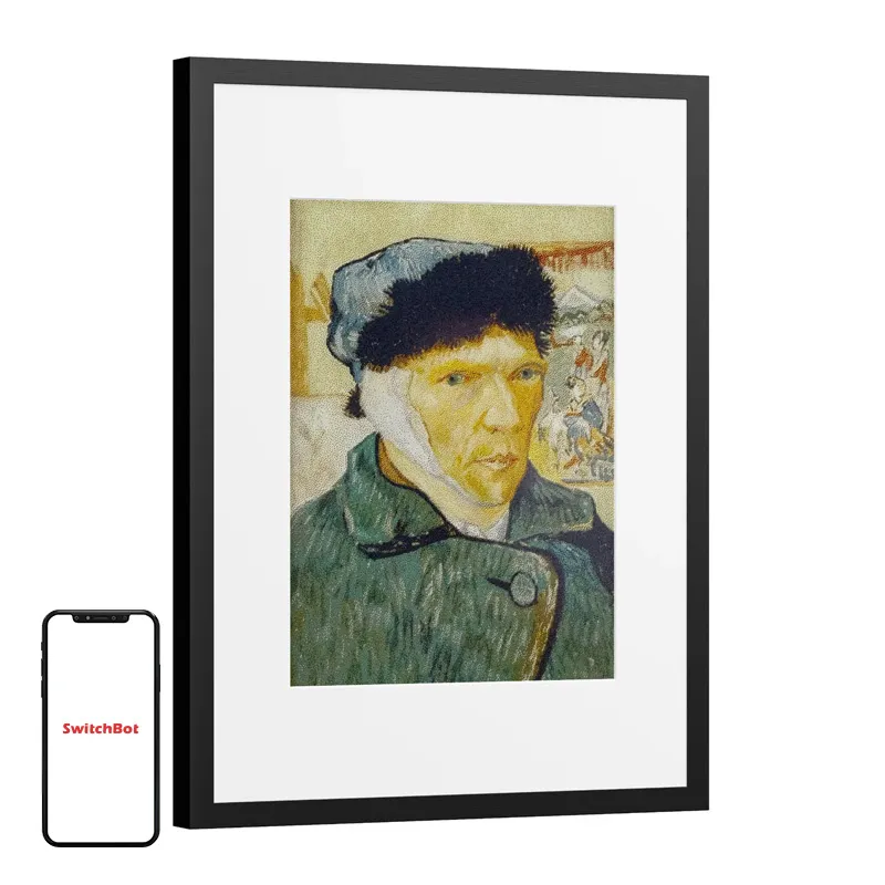 SwitchBot AI Kunstiraam 13,3" Digitaalne Fotoraam universaal