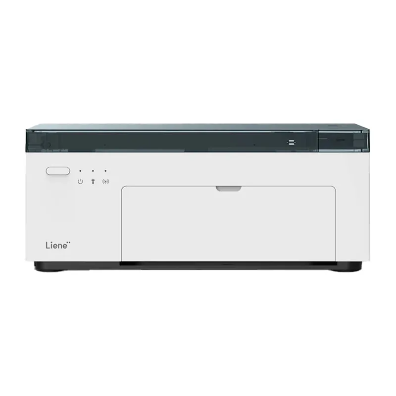 Liene Amber M100 4x6" kaasaskantav fotoprinter universaalne