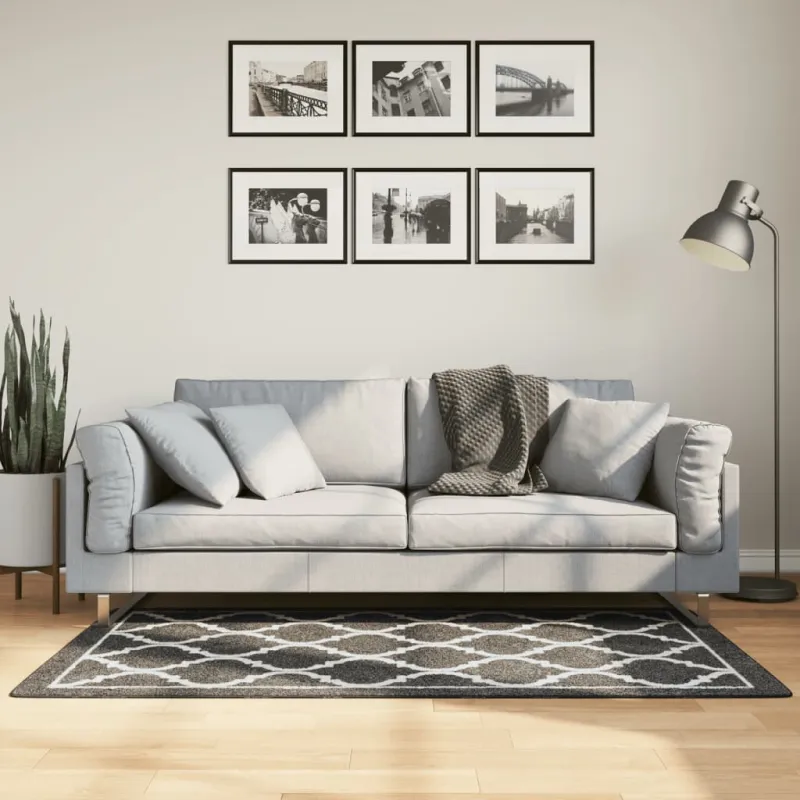 Kilimas, juodas ir baltas, 80x150 cm, plaunamas