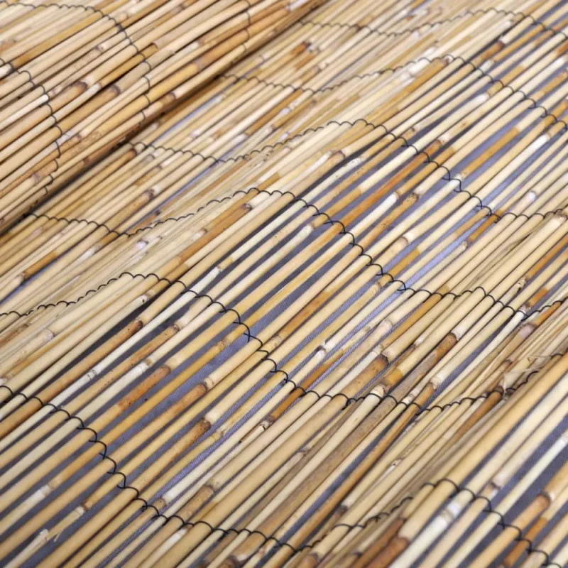 Sodo nendrių tvora, 500x100cm