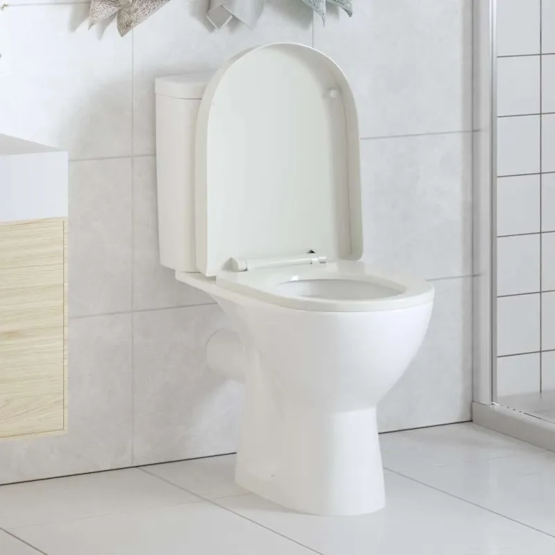 Klozeto sėdynė su Soft Close mechanizmu, balta, ovalo formos