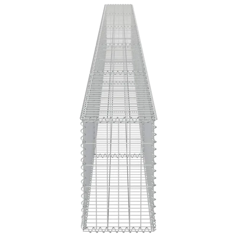 Gabiono siena su dang., galvanizuotas plienas, 600x30x50cm