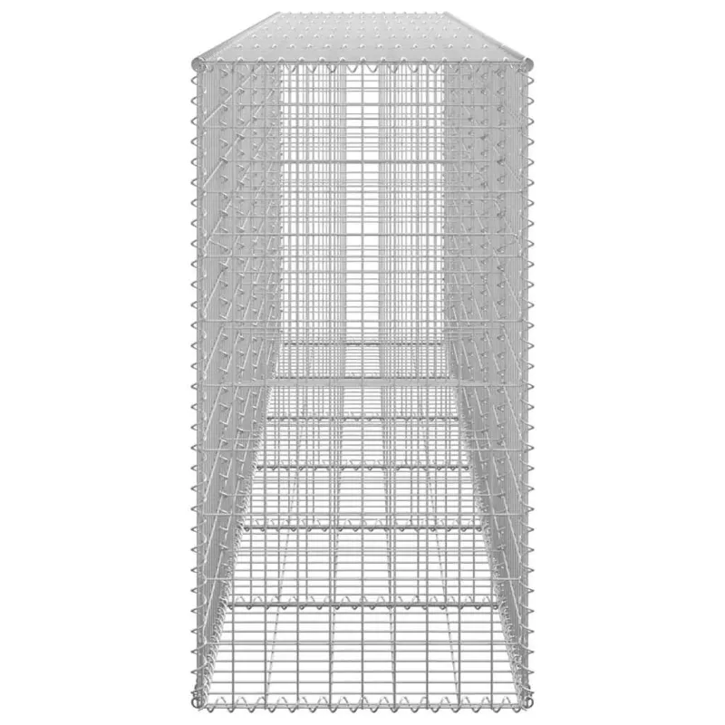 Gabiono siena su dang., galvanizuotas plienas, 300x50x100cm
