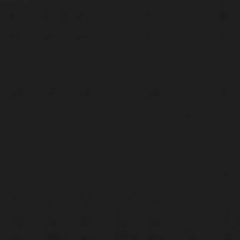 Ištraukiama markizė, antracito spalvos, 300x150 cm