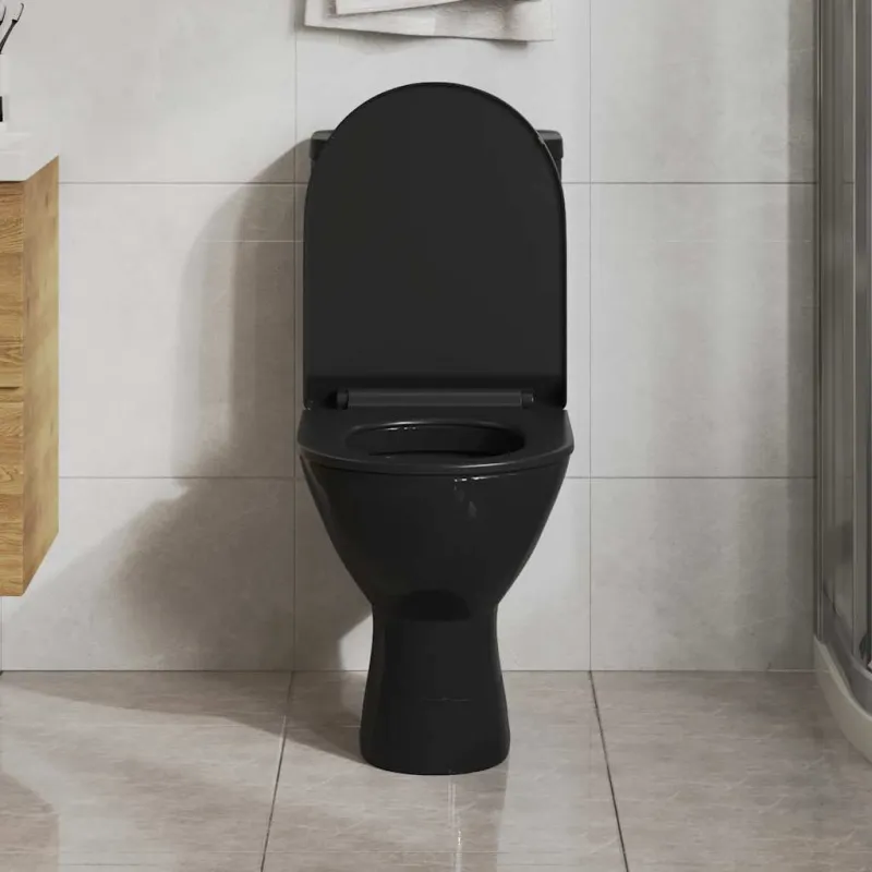 Klozeto sėdynė su Soft-close mechanizmu, juoda