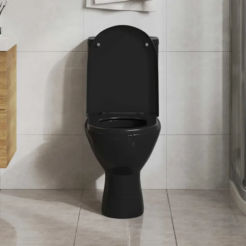 Klozeto sėdynė su Soft-close mechanizmu, juoda