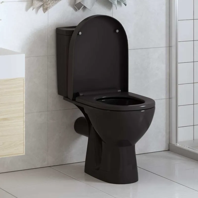 Klozeto sėdynė su Soft-close mechanizmu, juoda