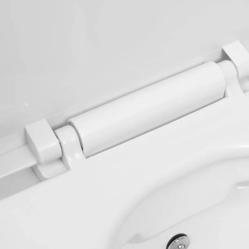 Pakabinamas berėmis klozetas su bide funkcija, baltas, keramika