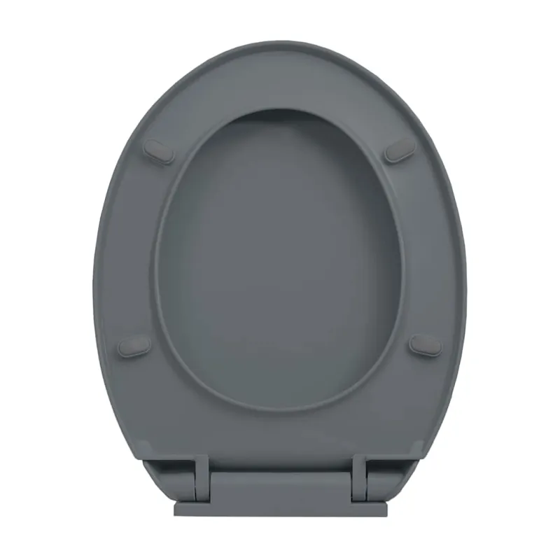 Klozeto sėdynė su soft-close mechanizmu, pilkos spalvos, ovali