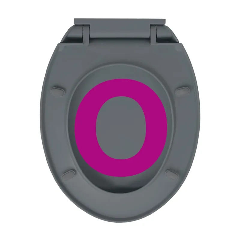 Klozeto sėdynė su soft-close mechanizmu, pilkos spalvos, ovali