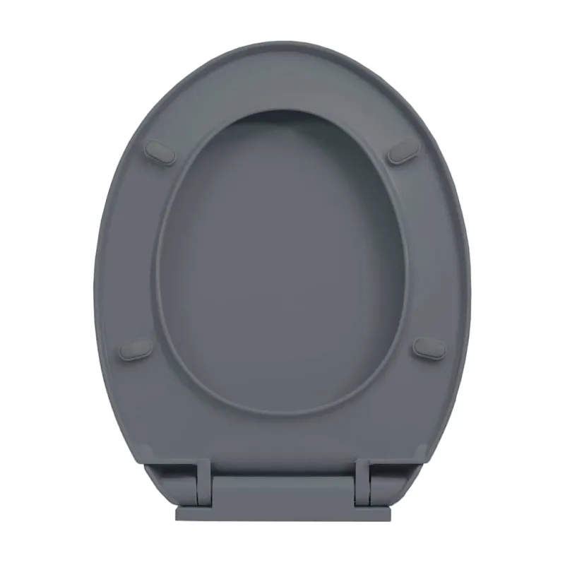 Klozeto sėdynė su soft-close mechanizmu, pilka, ovali