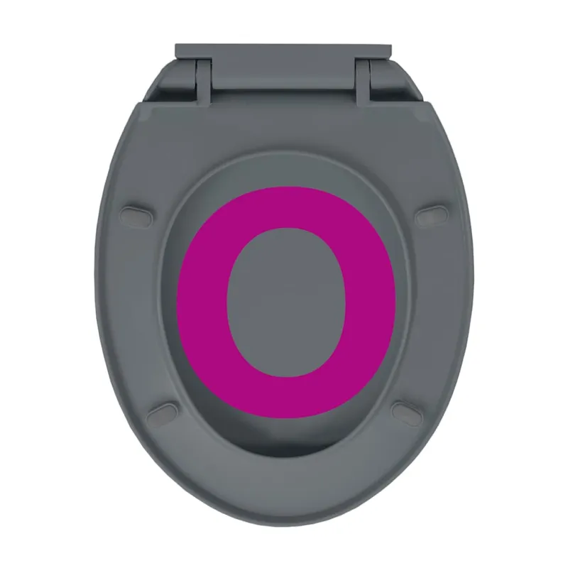 Klozeto sėdynė su soft-close mechanizmu, pilka, ovali