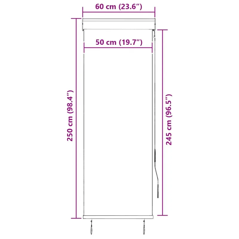 Lauko roletas, baltos ir mėlynos spalvų, 60x250cm