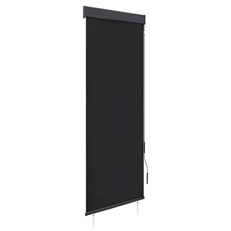 Lauko roletas, antracito spalvos, 60x250cm