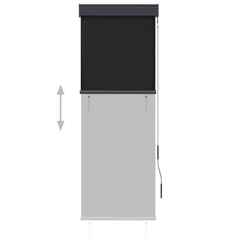 Lauko roletas, antracito spalvos, 60x250cm