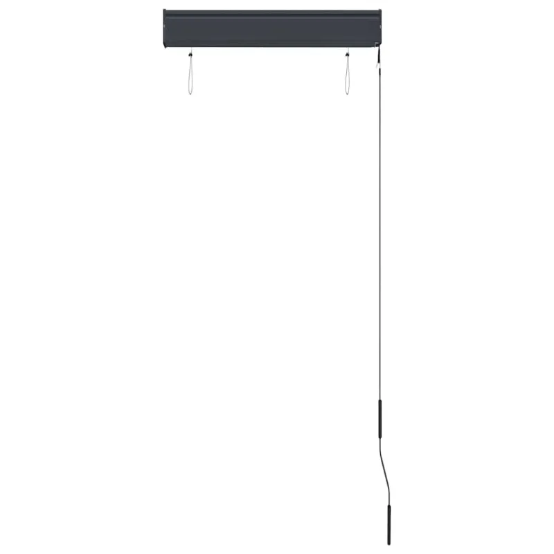 Lauko roletas, antracito spalvos, 60x250cm