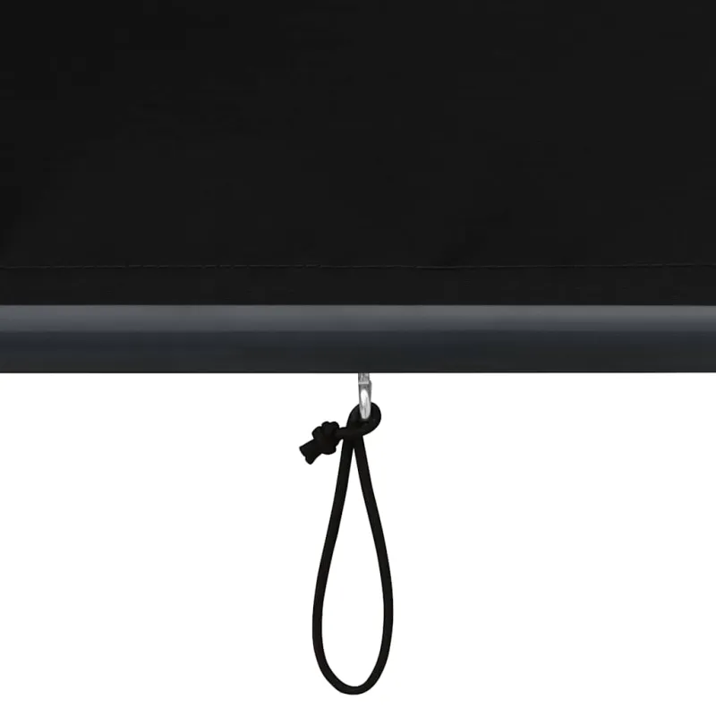 Lauko roletas, antracito spalvos, 60x250cm