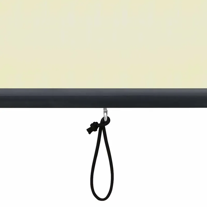 Lauko roletas, kreminės spalvos, 60x250cm
