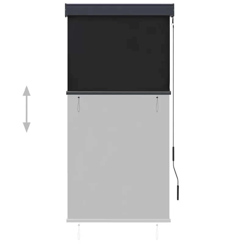 Lauko roletas, antracito spalvos, 80x250cm