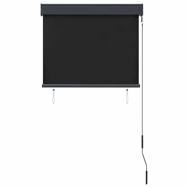 Lauko roletas, antracito spalvos, 80x250cm