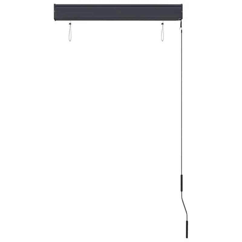 Lauko roletas, antracito spalvos, 80x250cm