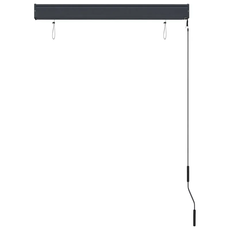 Lauko roletas, baltos ir mėlynos spalvų, 100x250cm