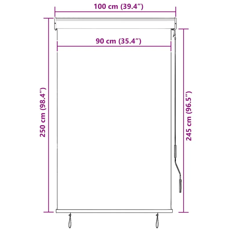 Lauko roletas, baltos ir mėlynos spalvų, 100x250cm