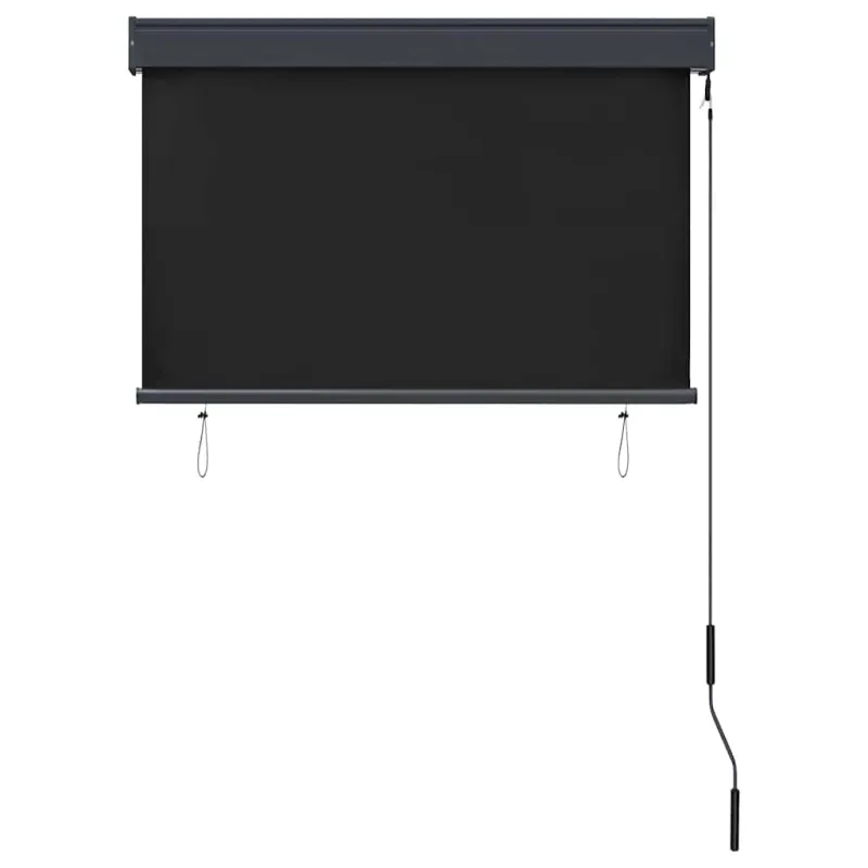 Lauko roletas, antracito spalvos, 100x250cm