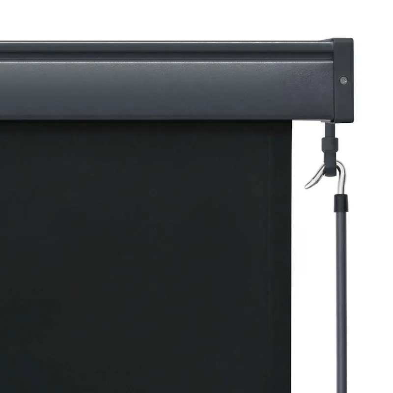 Lauko roletas, antracito spalvos, 100x250cm